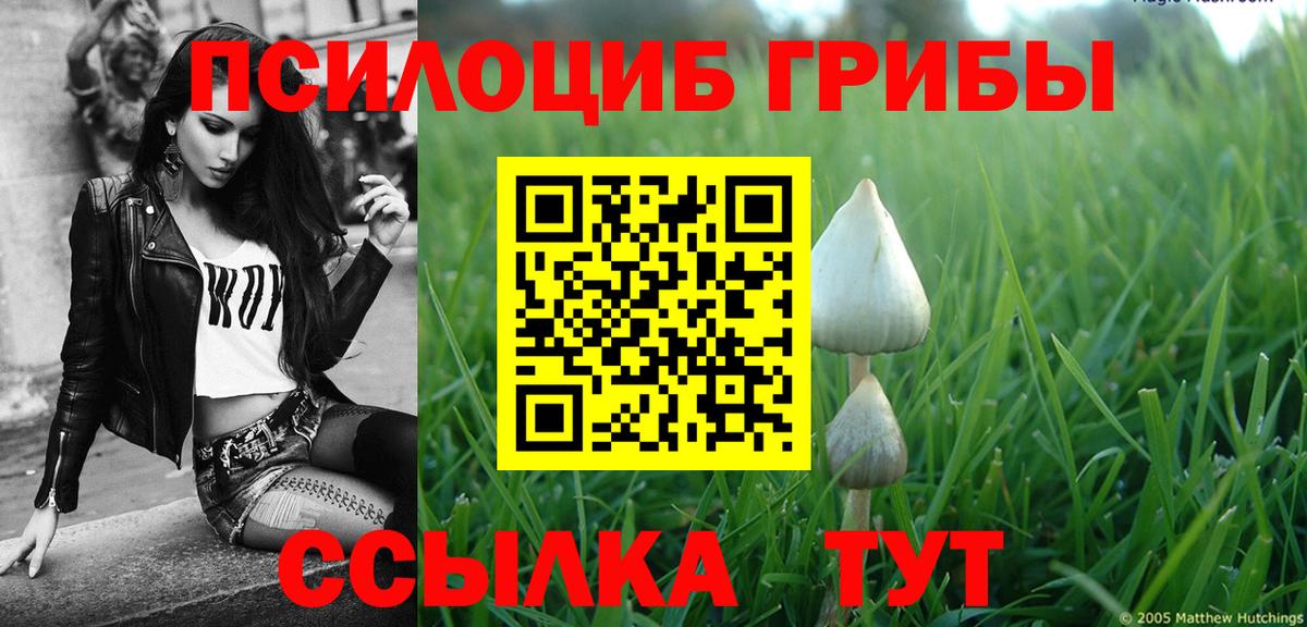 Галлюциногенные грибы ЛСД Электрогорск