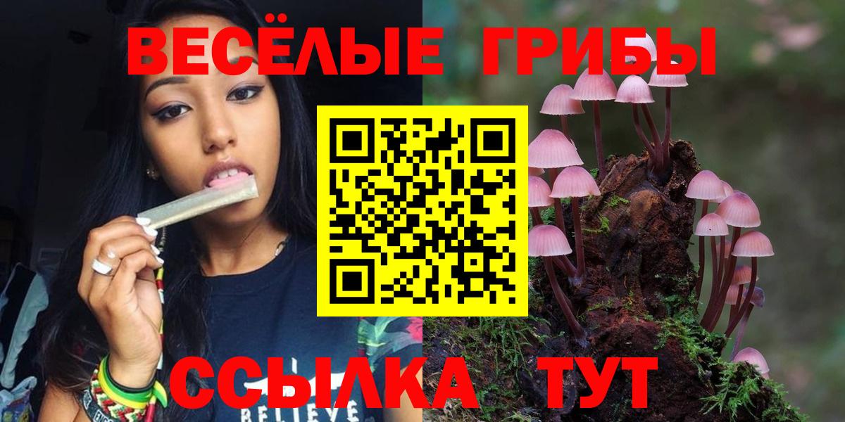 Электрогорск  сколько стоит  Вход с VPN  Псилоцибиновые грибы Psilocybe  Псилоцибиновые грибы мицелий 