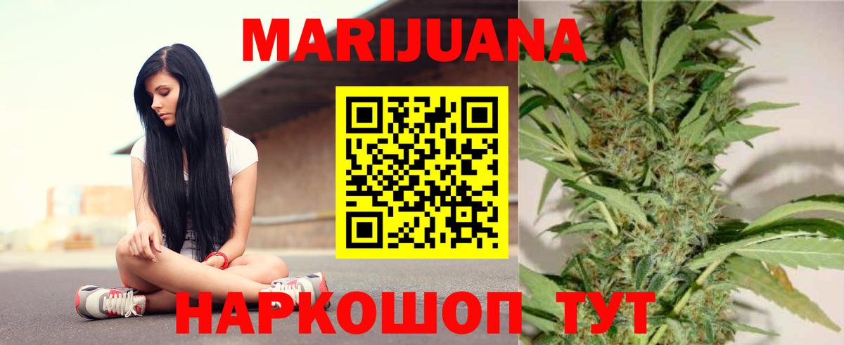 Каннабис сатива Электрогорск